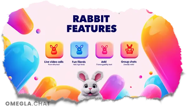 Fonctionnalités Rabbit Chat Vidéo Fonctionnalités Rabbit
